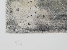 Laden Sie das Bild in den Galerie-Viewer, Antoni Tàpies - Grabado 'H Reverse'