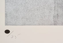 Laden Sie das Bild in den Galerie-Viewer, Jaume Plensa - Grabado Chine-collé &#39;Reflejos III&#39;