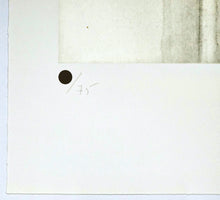 Load image into Gallery viewer, Jaume Plensa - Grabado Chine-collé &#39;Reflejos VI&#39;