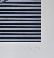 Load image into Gallery viewer, Eusebio Sempere - Serigrafía 'SE12'