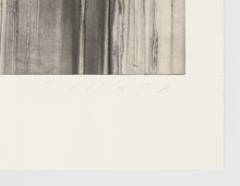 Load image into Gallery viewer, Jaume Plensa - Grabado Chine-collé &#39;Reflejos VII&#39;