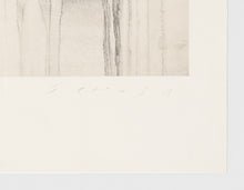 Load image into Gallery viewer, Jaume Plensa - Grabado Chine-collé &#39;Reflejos VIII&#39;