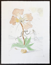 Load image into Gallery viewer, Salvador Dalí - Grabado "Reuben" (Ruben) (Twelve Tribes of Israel)