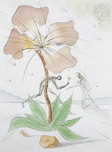 Load image into Gallery viewer, Salvador Dalí - Grabado "Reuben" (Ruben) (Twelve Tribes of Israel)