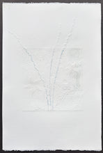 Load image into Gallery viewer, Antolín Alejandre Ruiz - Collagraph 'Fondo Marino Estrellas'
