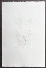 Load image into Gallery viewer, Antolín Alejandre Ruiz - Collagraph 'Fondo Marino II'