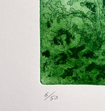 Charger l'image dans la galerie, Antolín Alejandre Ruiz - Grabado 'Tortuga'