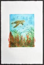 Load image into Gallery viewer, Antolín Alejandre Ruiz - Grabado 'Tortuga Serie Corales'
