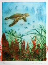 Load image into Gallery viewer, Antolín Alejandre Ruiz - Grabado 'Tortuga Serie Corales'