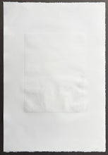 Load image into Gallery viewer, Antolín Alejandre Ruiz - Grabado 'Tortuga Serie Corales'