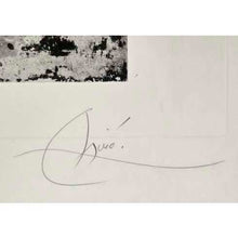 Load image into Gallery viewer, Joan Miró - Grabado &quot;Les Armes du Sommeil”